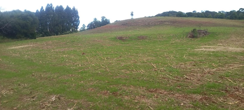 Área Rural para Venda em Erval Grande / RS no bairro Interior: 2ª foto da galeria de imagens do imóvel