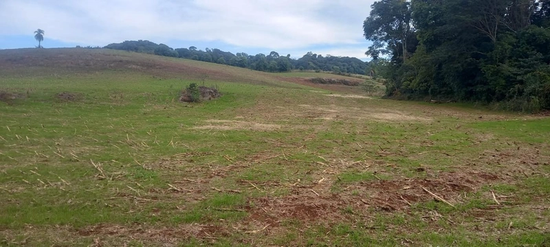 Área Rural para Venda em Erval Grande / RS no bairro Interior: 3ª foto da galeria de imagens do imóvel