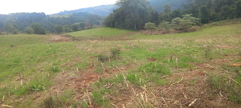 Área Rural para Venda em Erval Grande / RS no bairro Interior: 4ª foto da galeria de imagens do imóvel