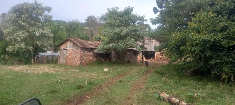 Área Rural para Venda em Erval Grande / RS no bairro Interior: 9ª foto da galeria de imagens do imóvel