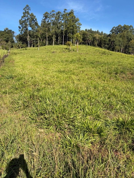 ÁREA DE TERRA À VENDA – DISTRITO MARECHAL BORMANN - CHAPECÓ/SC: 2ª foto da galeria de imagens do imóvel