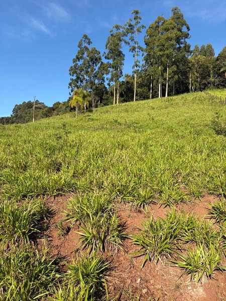 ÁREA DE TERRA À VENDA – DISTRITO MARECHAL BORMANN - CHAPECÓ/SC: 3ª foto da galeria de imagens do imóvel