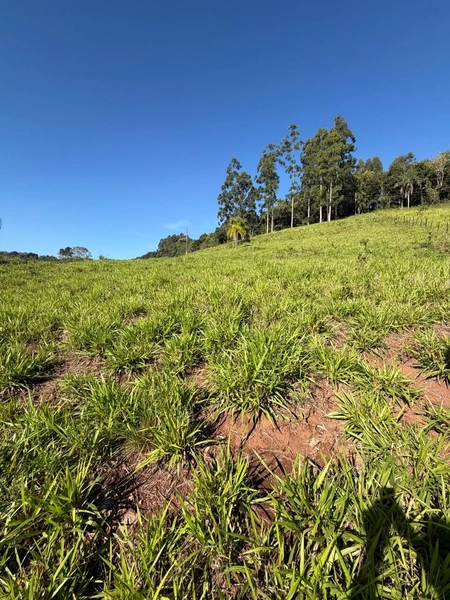 ÁREA DE TERRA À VENDA – DISTRITO MARECHAL BORMANN - CHAPECÓ/SC: 10ª foto da galeria de imagens do imóvel