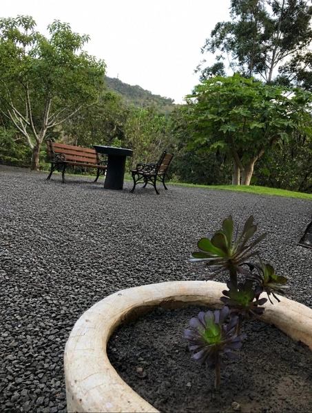 CHÁCARA À VENDA – CHAPECÓ/SC: 2ª foto da galeria de imagens do imóvel