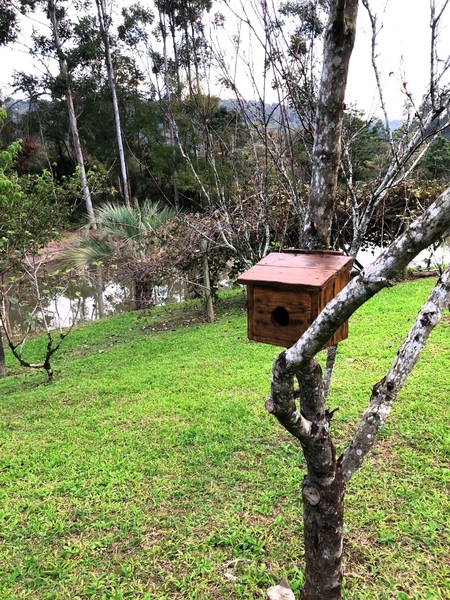 CHÁCARA À VENDA – CHAPECÓ/SC: 10ª foto da galeria de imagens do imóvel