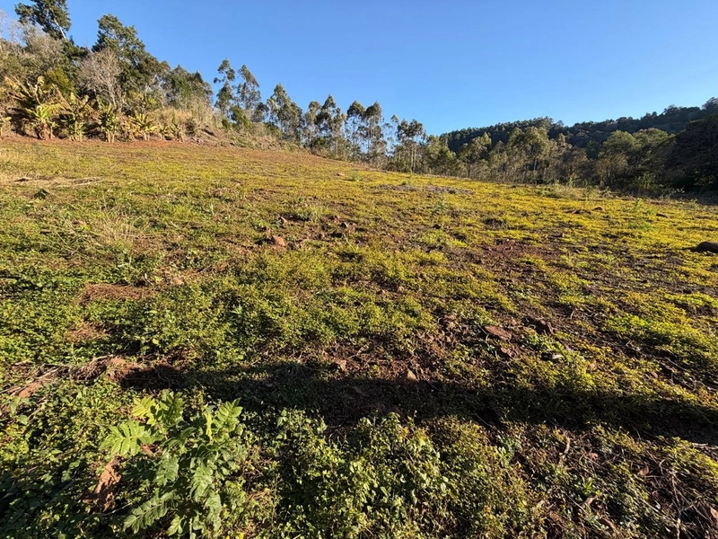 CHÁCARA À VENDA EM GUATAMBU- SC: 4ª foto da galeria de imagens do imóvel