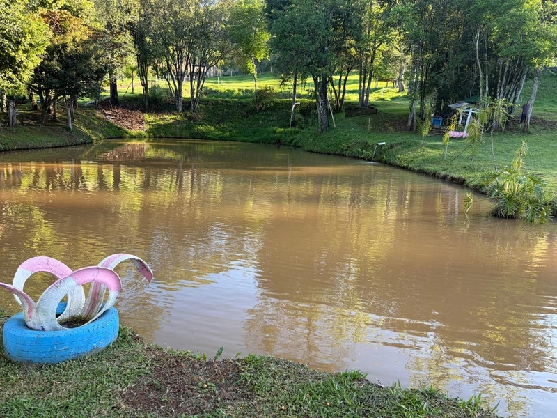 ✨ ÁREA DE TERRAS EM NOVA ITABERABA-SC: 7ª foto da galeria de imagens do imóvel