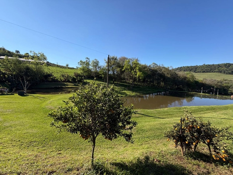 ✨ ÁREA DE TERRAS EM NOVA ITABERABA-SC: 10ª foto da galeria de imagens do imóvel