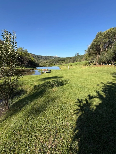 ✨ ÁREA DE TERRAS EM NOVA ITABERABA-SC: 11ª foto da galeria de imagens do imóvel