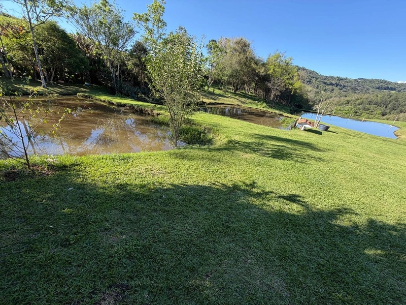 ✨ ÁREA DE TERRAS EM NOVA ITABERABA-SC: 8ª foto da galeria de imagens do imóvel