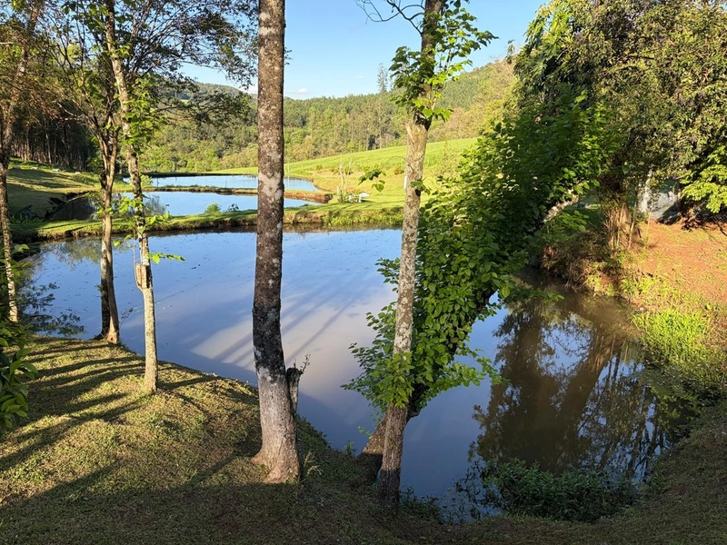 ✨ ÁREA DE TERRAS EM NOVA ITABERABA-SC: 5ª foto da galeria de imagens do imóvel