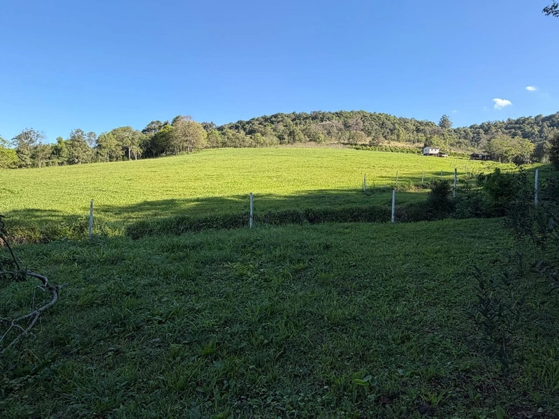 ✨ ÁREA DE TERRAS EM NOVA ITABERABA-SC: 6ª foto da galeria de imagens do imóvel