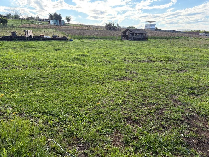 ÁREA RURAL À VENDA – CHAPECÓ/SC: 3ª foto da galeria de imagens do imóvel