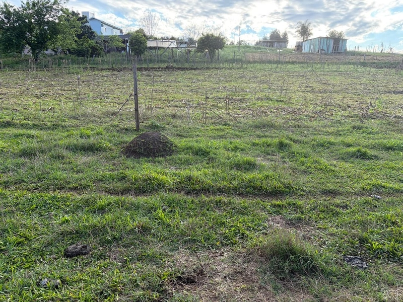 ÁREA RURAL À VENDA – CHAPECÓ/SC: 1ª foto da galeria de imagens do imóvel