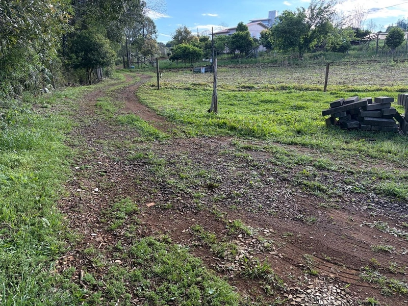ÁREA RURAL À VENDA – CHAPECÓ/SC: 6ª foto da galeria de imagens do imóvel