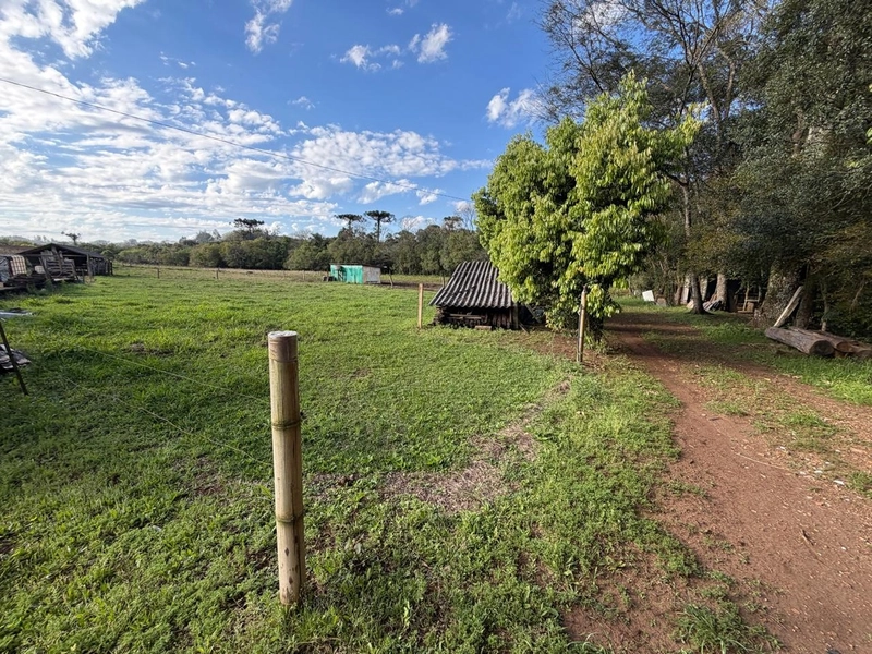 ÁREA RURAL À VENDA – CHAPECÓ/SC: 5ª foto da galeria de imagens do imóvel