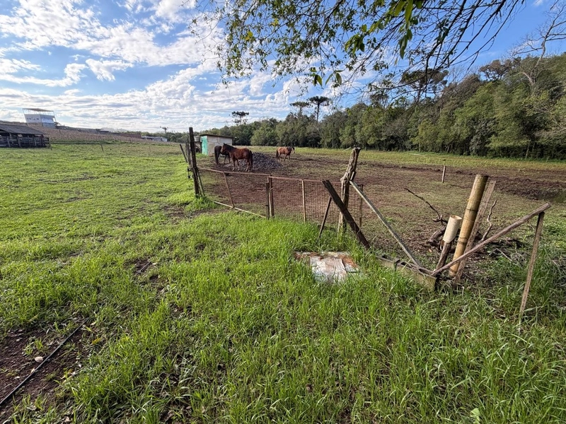 ÁREA RURAL À VENDA – CHAPECÓ/SC: 4ª foto da galeria de imagens do imóvel