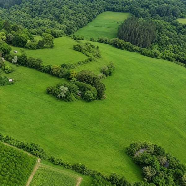 ÁREA DE TERRAS À VENDA – TRINDADE D SUL /RS: 2ª foto da galeria de imagens do imóvel