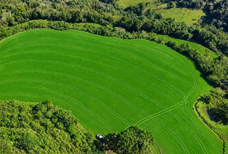 ÁREA DE TERRAS À VENDA – TRINDADE D SUL /RS: 1ª foto da galeria de imagens do imóvel