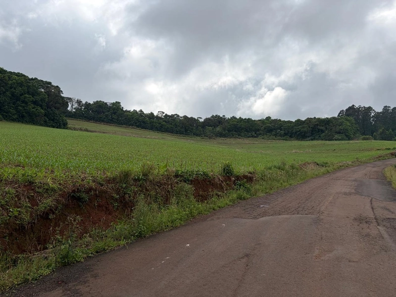 LINDA ÁREA RURAL À VENDA – ÁGUAS DE CHAPECÓ/SC: 12ª foto da galeria de imagens do imóvel