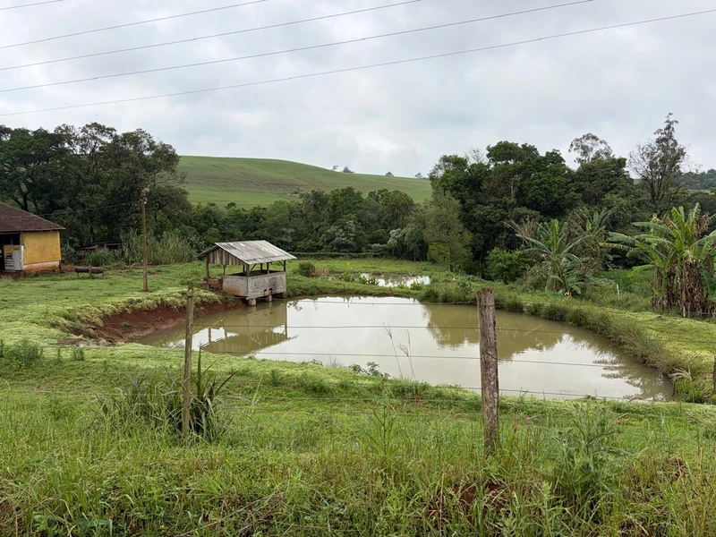 LINDA ÁREA RURAL À VENDA – ÁGUAS DE CHAPECÓ/SC: 13ª foto da galeria de imagens do imóvel