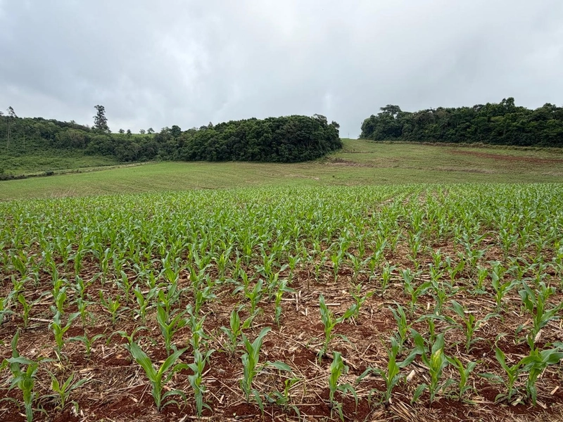 LINDA ÁREA RURAL À VENDA – ÁGUAS DE CHAPECÓ/SC: 2ª foto da galeria de imagens do imóvel