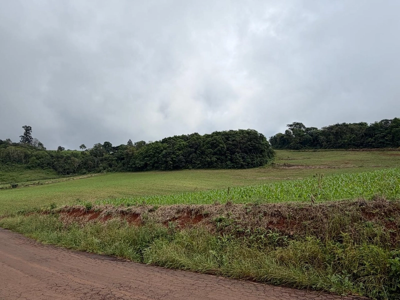 LINDA ÁREA RURAL À VENDA – ÁGUAS DE CHAPECÓ/SC: 14ª foto da galeria de imagens do imóvel