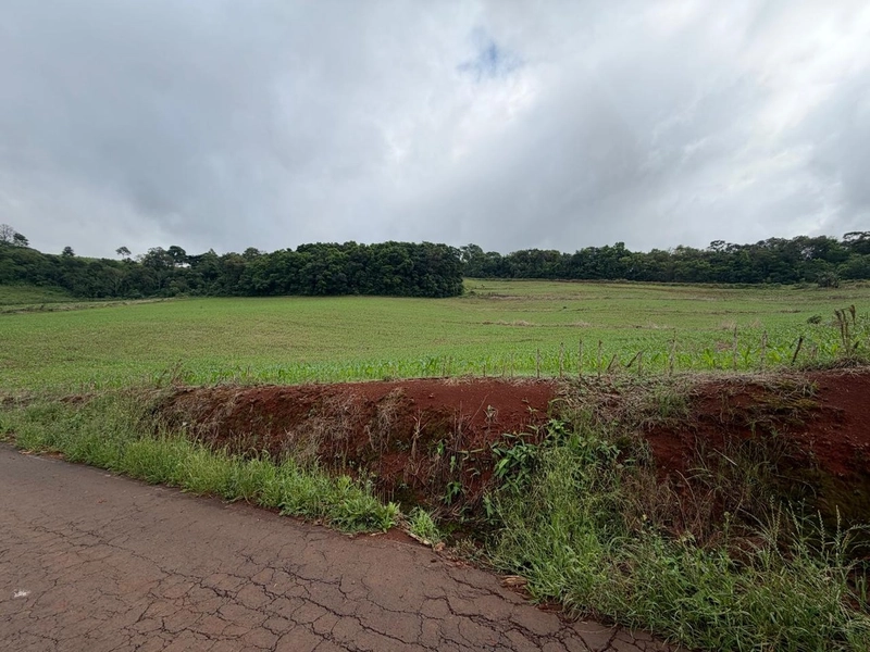LINDA ÁREA RURAL À VENDA – ÁGUAS DE CHAPECÓ/SC: 16ª foto da galeria de imagens do imóvel