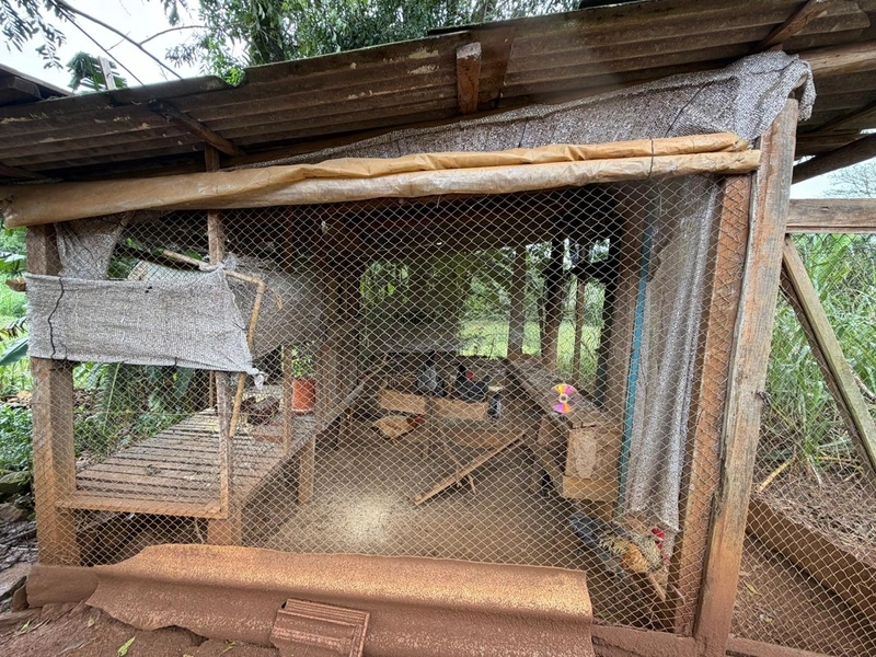 LINDA ÁREA RURAL À VENDA – ÁGUAS DE CHAPECÓ/SC: 8ª foto da galeria de imagens do imóvel