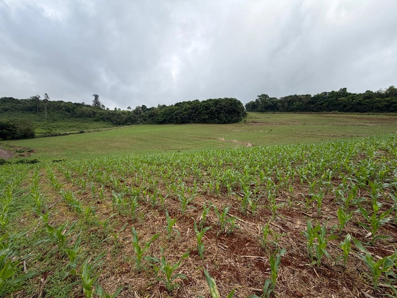 LINDA ÁREA RURAL À VENDA – ÁGUAS DE CHAPECÓ/SC: 18ª foto da galeria de imagens do imóvel