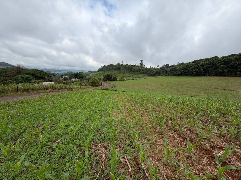 LINDA ÁREA RURAL À VENDA – ÁGUAS DE CHAPECÓ/SC: 15ª foto da galeria de imagens do imóvel