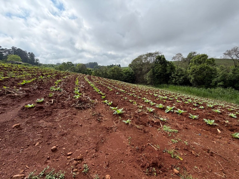 LINDA ÁREA RURAL À VENDA – ÁGUAS DE CHAPECÓ/SC: 17ª foto da galeria de imagens do imóvel