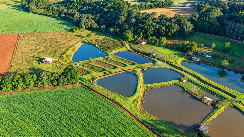 ÁREA DE TERRAS EM CAXAMBU DO SUL – SC!: 5ª foto da galeria de imagens do imóvel