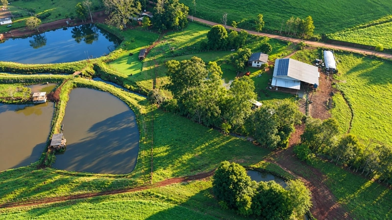 ÁREA DE TERRAS EM CAXAMBU DO SUL – SC!: 4ª foto da galeria de imagens do imóvel