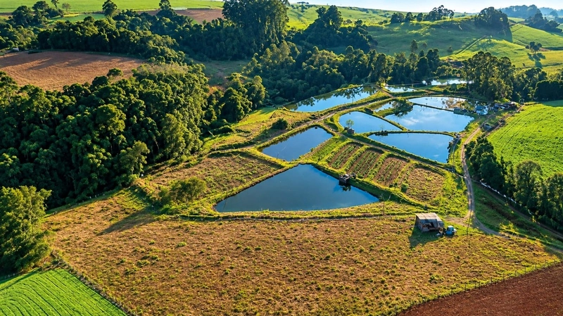 ÁREA DE TERRAS EM CAXAMBU DO SUL – SC!: 3ª foto da galeria de imagens do imóvel