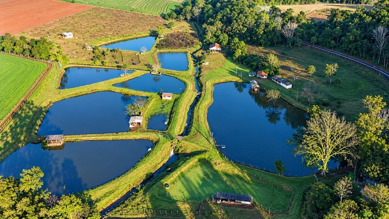 ÁREA DE TERRAS EM CAXAMBU DO SUL – SC!: 1ª foto da galeria de imagens do imóvel