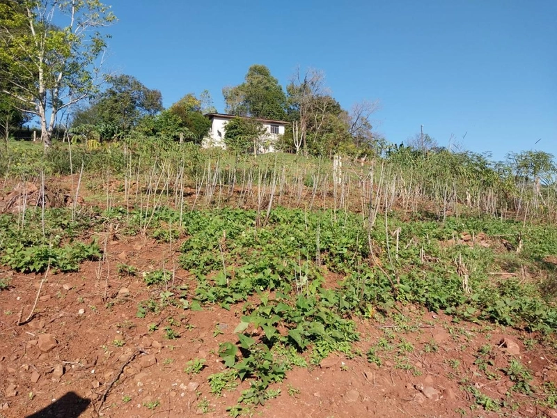 Área Rural para Venda em Nova Itaberaba / SC no bairro Interior: 4ª foto da galeria de imagens do imóvel