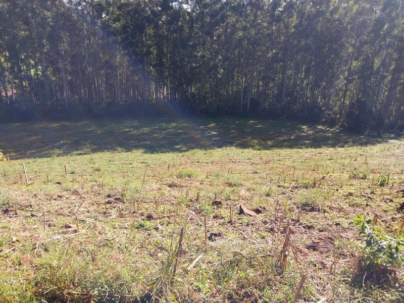 Área Rural para Venda em Nova Itaberaba / SC no bairro Interior: 3ª foto da galeria de imagens do imóvel