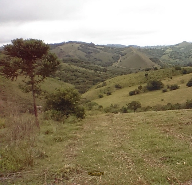 GRANDE OPORTUNIDADE EM SANTANA DA BOA VISTA - RS!: 2ª foto da galeria de imagens do imóvel