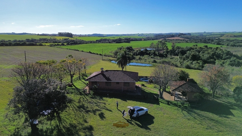 FAZENDA À VENDA – 145,2 HECTARES DE OPORTUNIDADE!: 1ª foto da galeria de imagens do imóvel