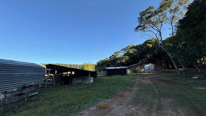 FAZENDA À VENDA – 145,2 HECTARES DE OPORTUNIDADE!: 18ª foto da galeria de imagens do imóvel
