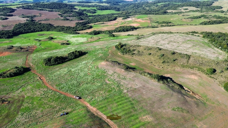 FAZENDA À VENDA – 145,2 HECTARES DE OPORTUNIDADE!: 7ª foto da galeria de imagens do imóvel