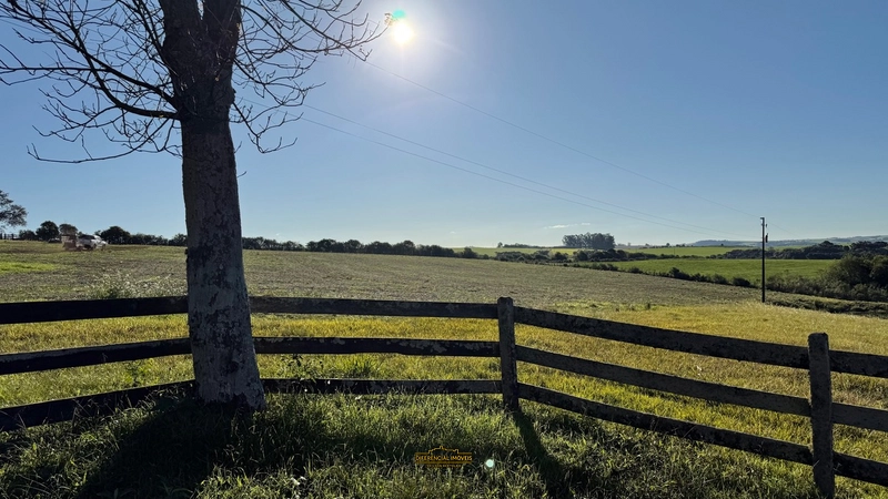 FAZENDA À VENDA – 145,2 HECTARES DE OPORTUNIDADE!: 17ª foto da galeria de imagens do imóvel