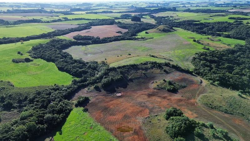 FAZENDA À VENDA – 145,2 HECTARES DE OPORTUNIDADE!: 8ª foto da galeria de imagens do imóvel