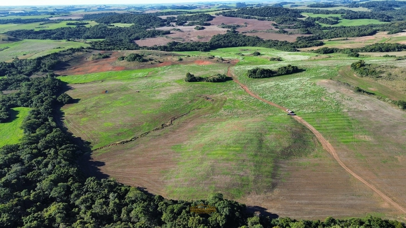 FAZENDA À VENDA – 145,2 HECTARES DE OPORTUNIDADE!: 6ª foto da galeria de imagens do imóvel