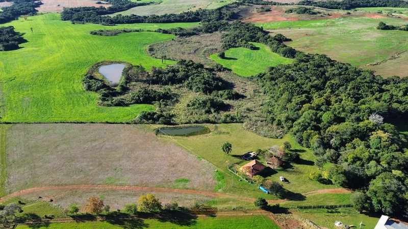 FAZENDA À VENDA – 145,2 HECTARES DE OPORTUNIDADE!: 4ª foto da galeria de imagens do imóvel