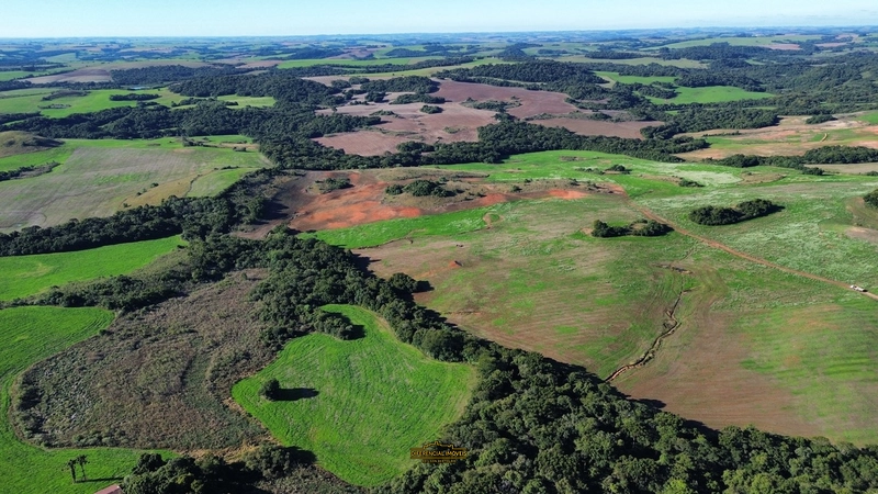 FAZENDA À VENDA – 145,2 HECTARES DE OPORTUNIDADE!: 3ª foto da galeria de imagens do imóvel
