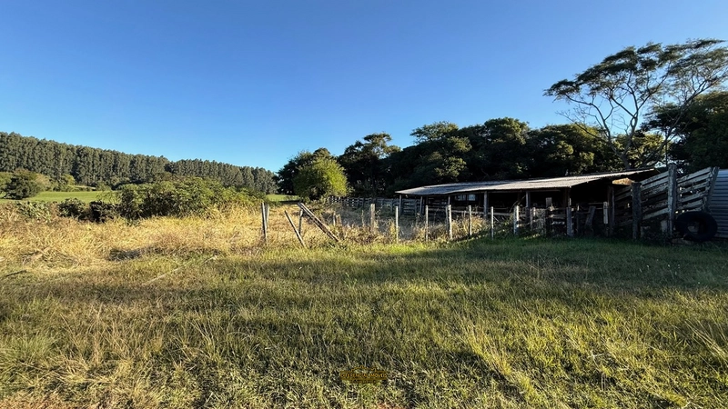 FAZENDA À VENDA – 145,2 HECTARES DE OPORTUNIDADE!: 19ª foto da galeria de imagens do imóvel