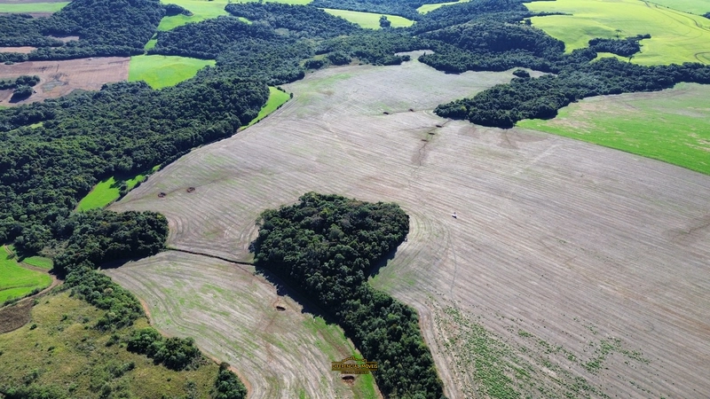 ÁREA DE TERRA À VENDA – 84,89 HECTARES EM EXCELENTE LOCALIZAÇÃO!: 2ª foto da galeria de imagens do imóvel
