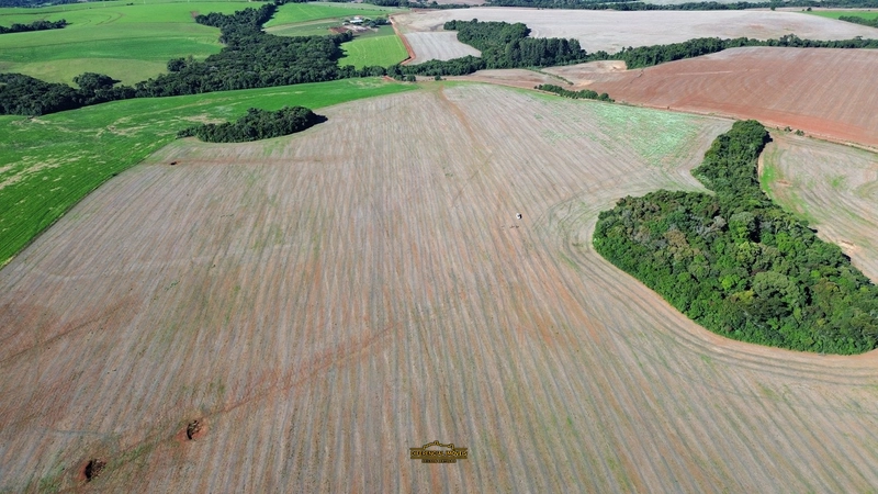 ÁREA DE TERRA À VENDA – 84,89 HECTARES EM EXCELENTE LOCALIZAÇÃO!: 16ª foto da galeria de imagens do imóvel